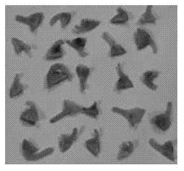 Method and Application of Surfactant and Ultrasound Synergistically Improving Soybean Genetic Transformation Efficiency