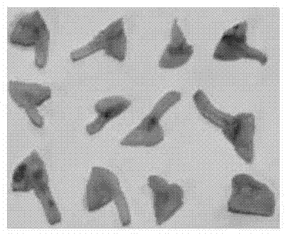 Method and Application of Surfactant and Ultrasound Synergistically Improving Soybean Genetic Transformation Efficiency