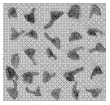 Method and Application of Surfactant and Ultrasound Synergistically Improving Soybean Genetic Transformation Efficiency