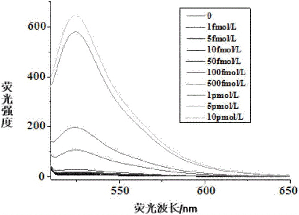 Method for detecting miRNA by ultra-branch rolling circle amplification triggered by connection reaction