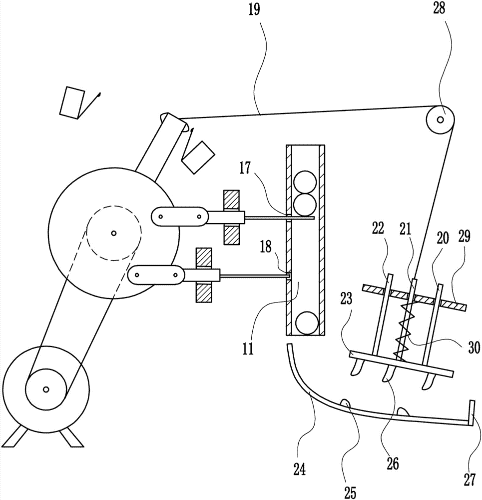 Single navel orange feeding device