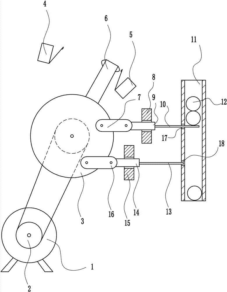 Single navel orange feeding device