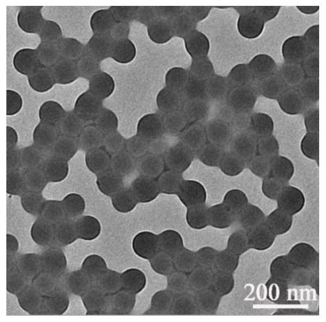 A kind of preparation method of the AIE polymer nanoparticle of carboxyl group and polypeptide modification