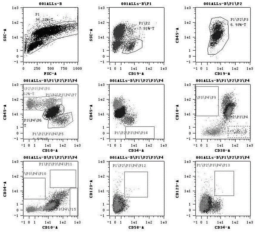 Kit and application thereof for detecting immunophenotypes associated with acute b lymphocytic leukemia