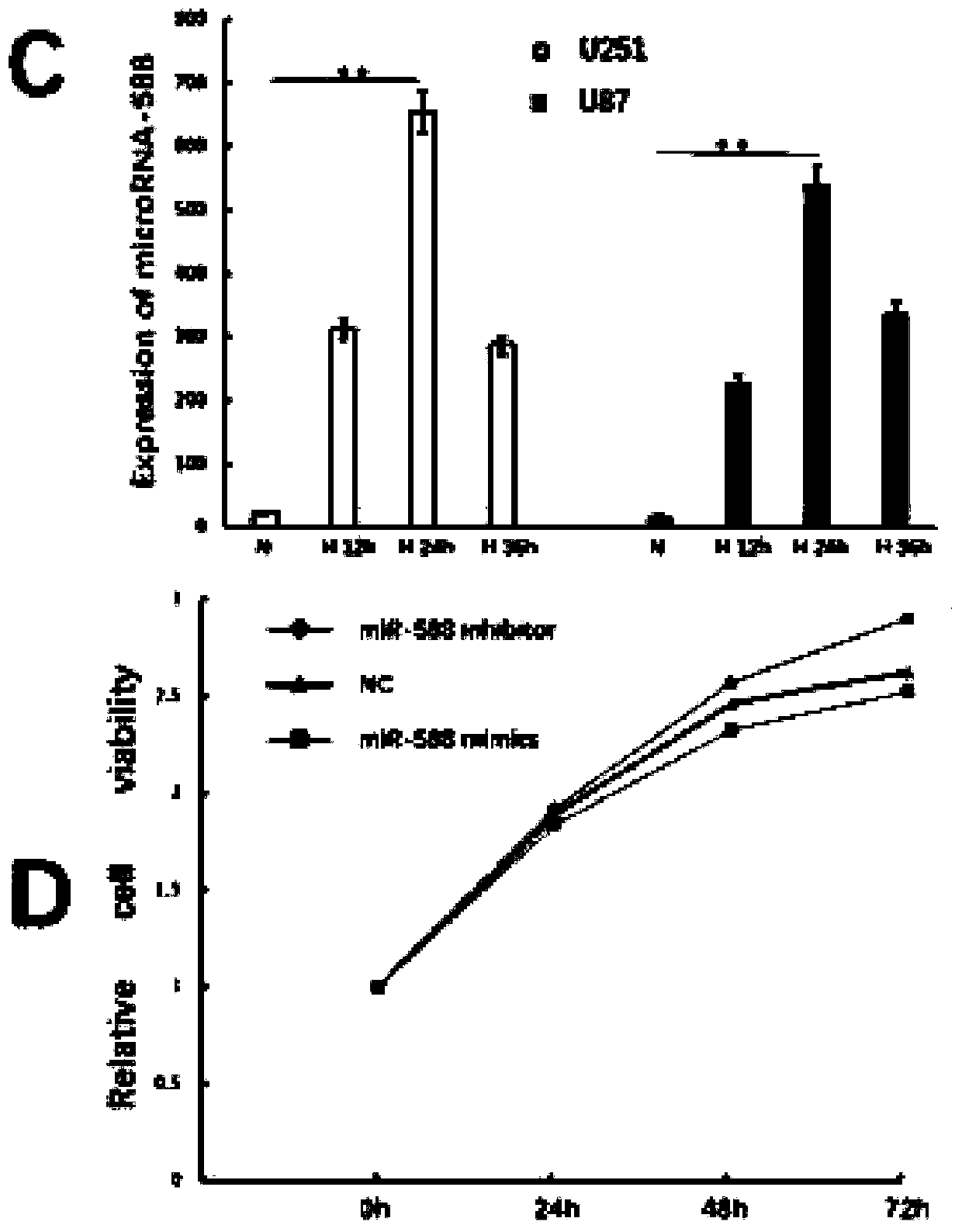 Molecular markers for diagnosing or treating glioma and their application