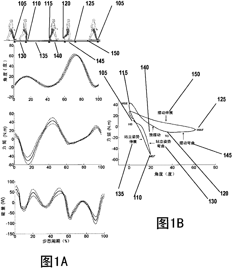 Powered artificial knee with agonist-antagonist actuation