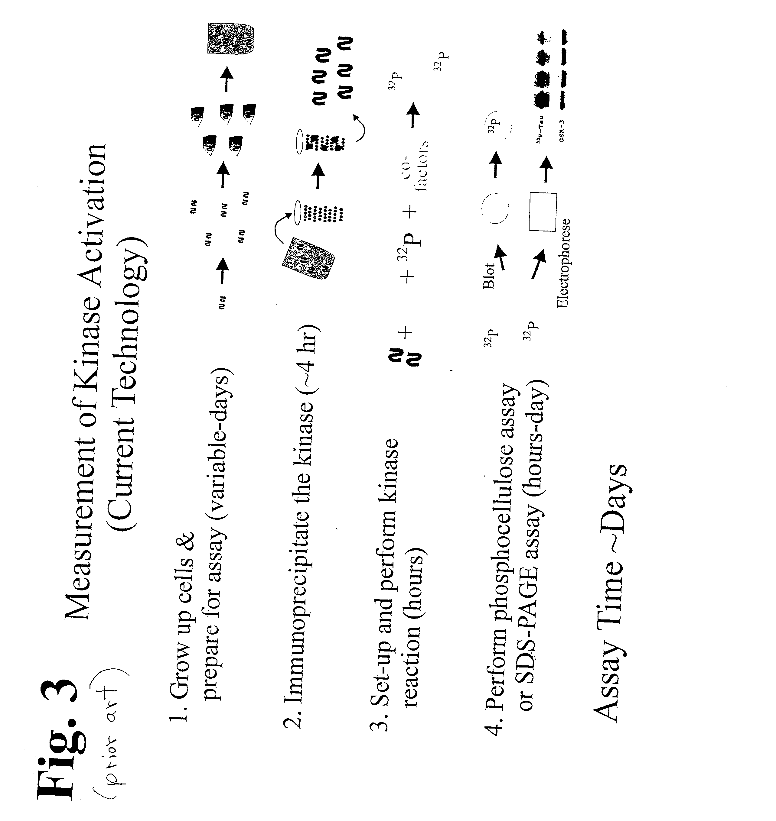 Method to measure the activation state of signaling pathways in cells