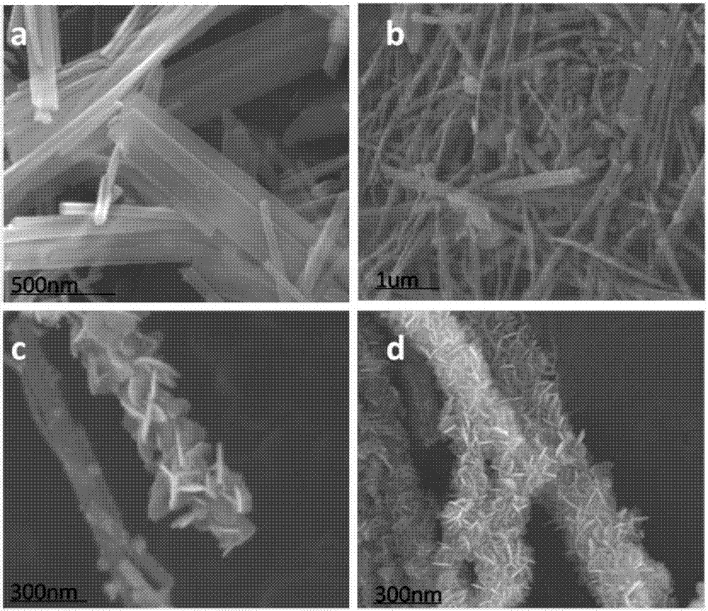 Preparation method for TiO2/Sn3O4 negative electrode material for lithium ion battery