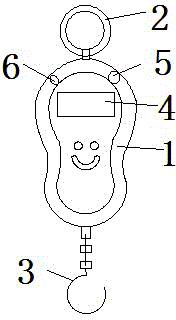 Portable electronic scale with sucker, currency examination lamp and fluorescence member