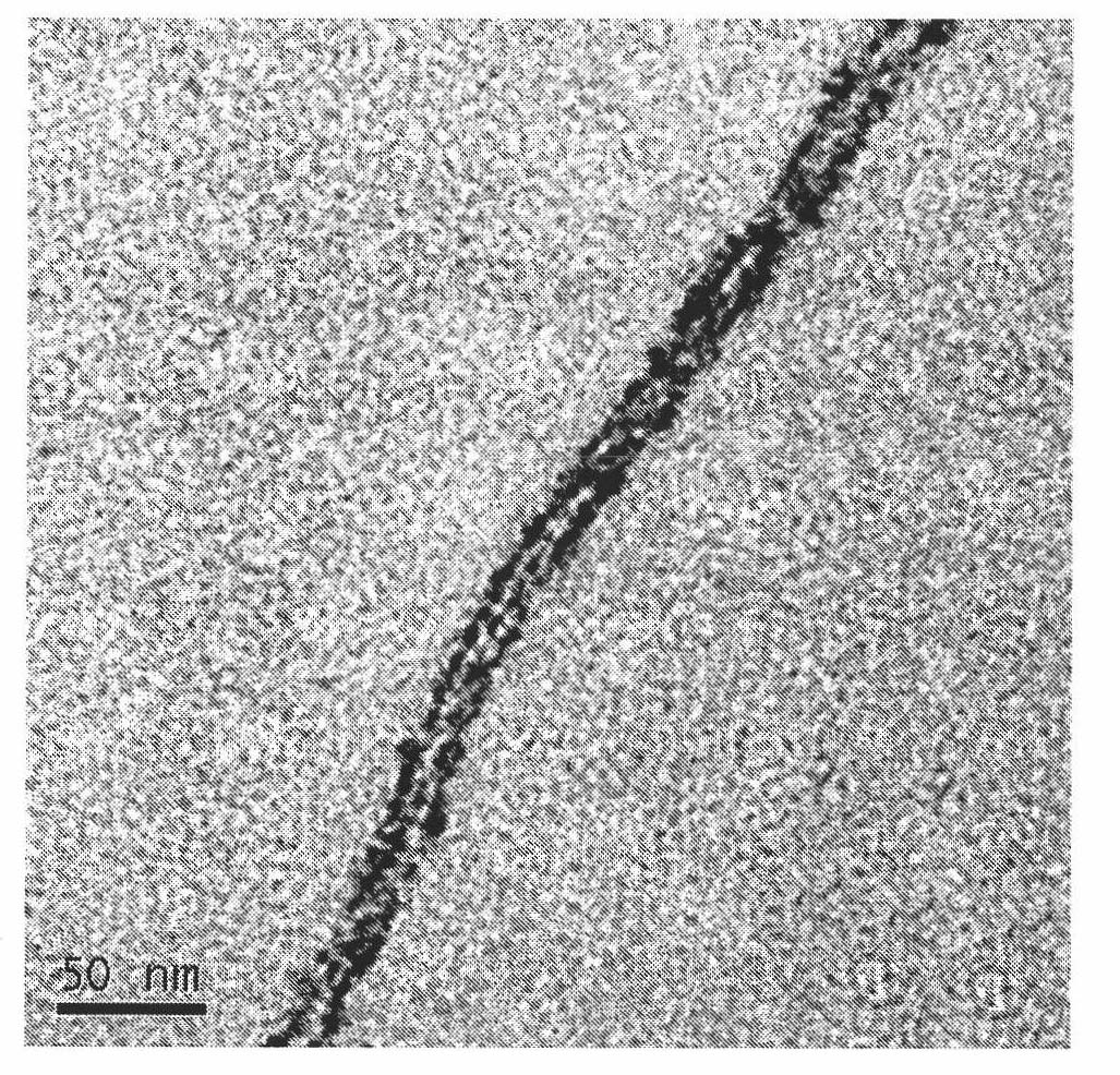 Method for preparing barium tungstate nanometer double-line arrays by using DNA as templates