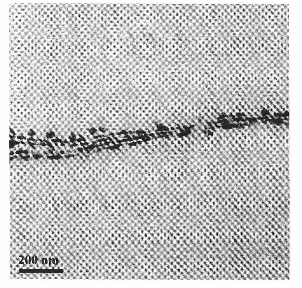 Method for preparing barium tungstate nanometer double-line arrays by using DNA as templates