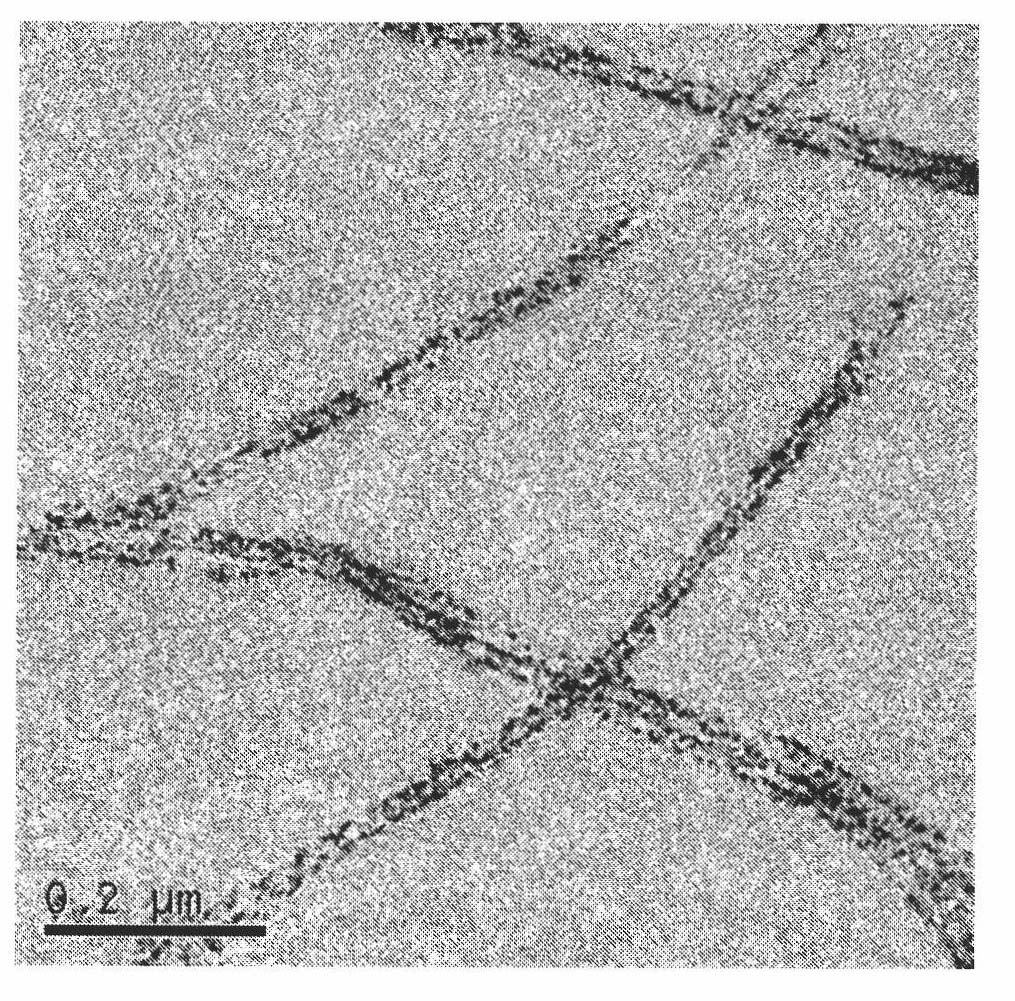 Method for preparing barium tungstate nanometer double-line arrays by using DNA as templates