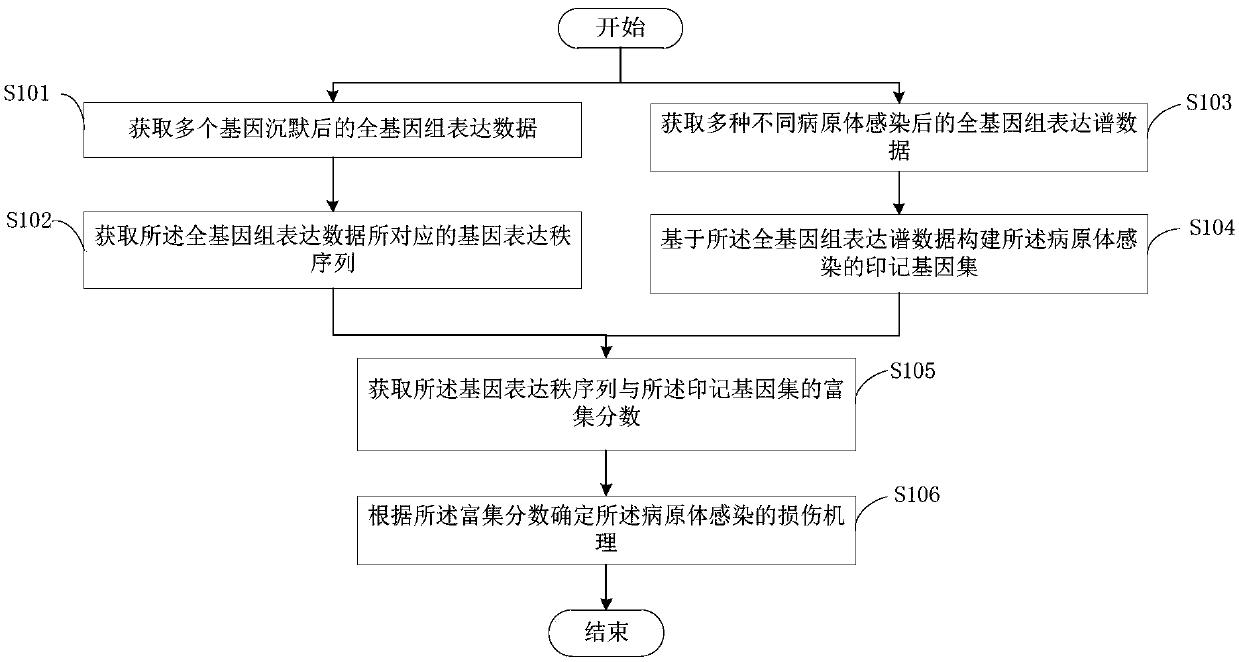 Pathogen infection injury mechanism analysis method and device thereof