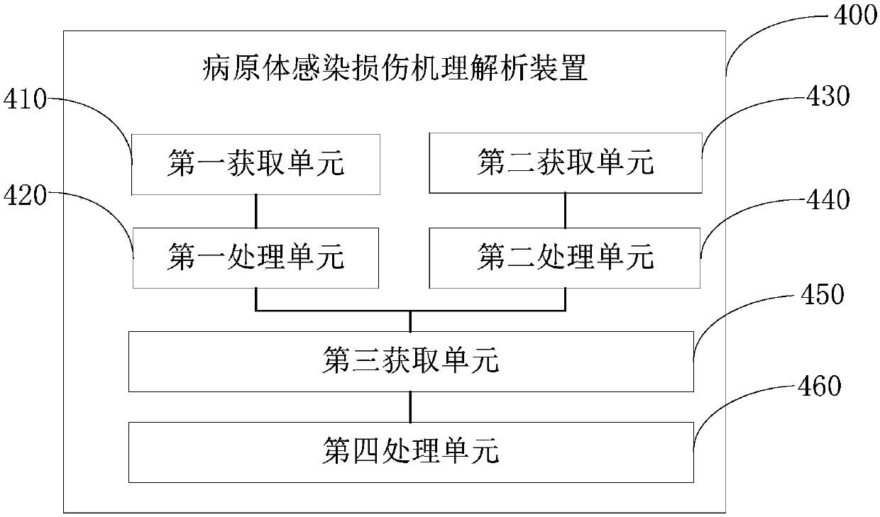 Pathogen infection injury mechanism analysis method and device thereof