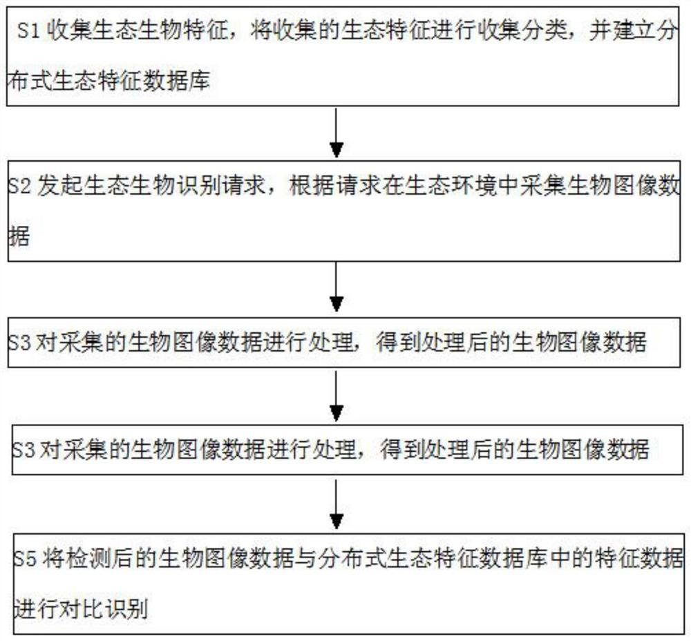 Ecological biological recognition method based on R-FCN algorithm