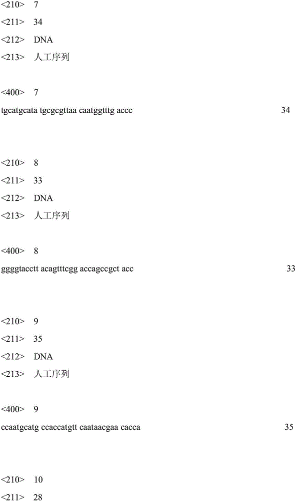 Method for effectively improving L-malic acid production intensity of Aspergillus oryzae pp25