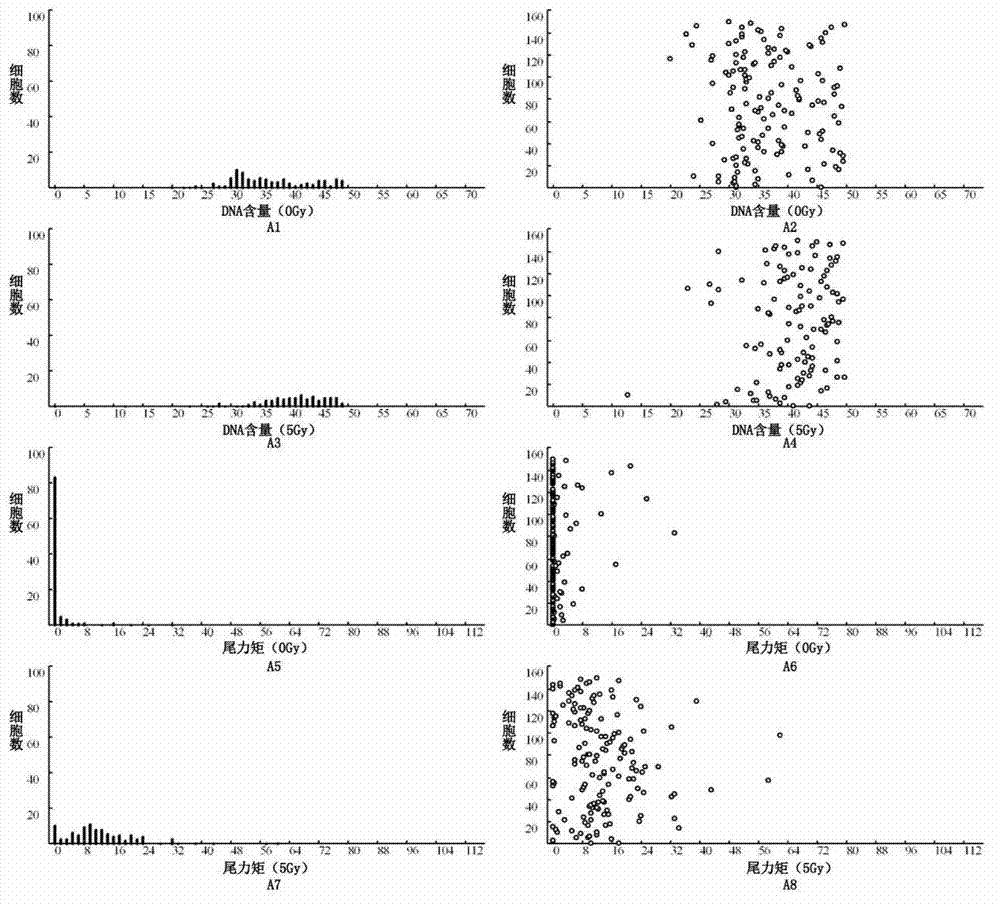 Detection method for radiosensitivity of solid tumor cell