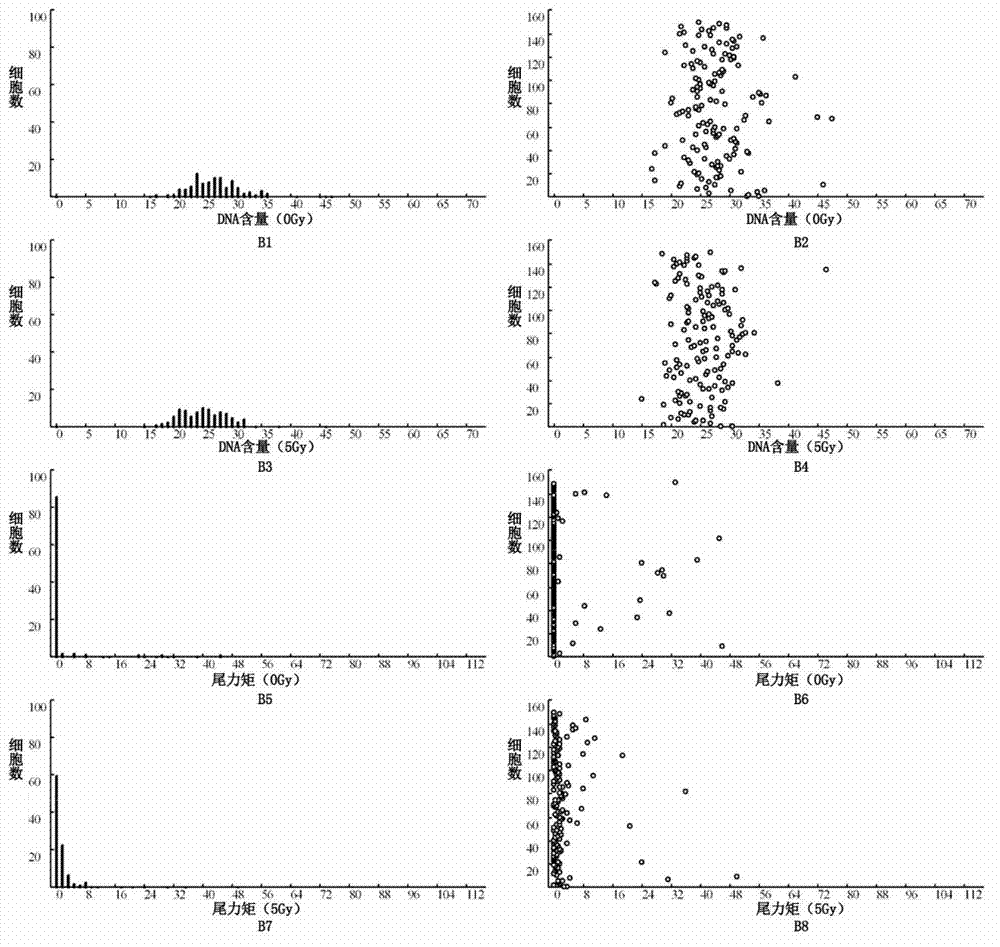 Detection method for radiosensitivity of solid tumor cell