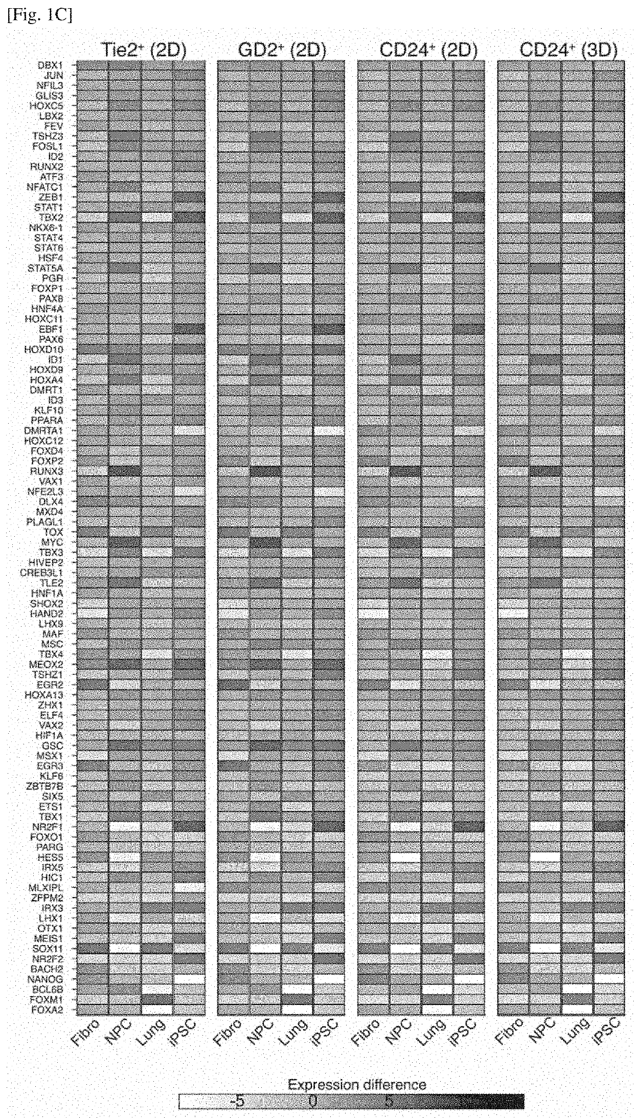 Differentiation inducer containing nucleus pulposus progenitor cell master regulator transcription factors, method for producing induced nucleus pulposus progenitor cells, and use of induced nucleus pulposus progenitor cells