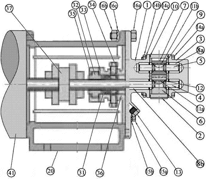 Novel flavoring feeding pump