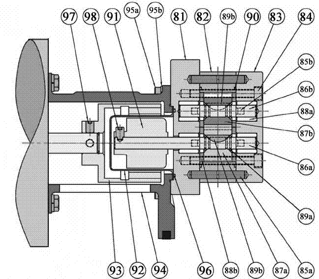 Novel flavoring feeding pump