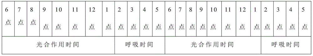 Brown rice shoot cultivating device, and cultivation method and meal preparation method using same