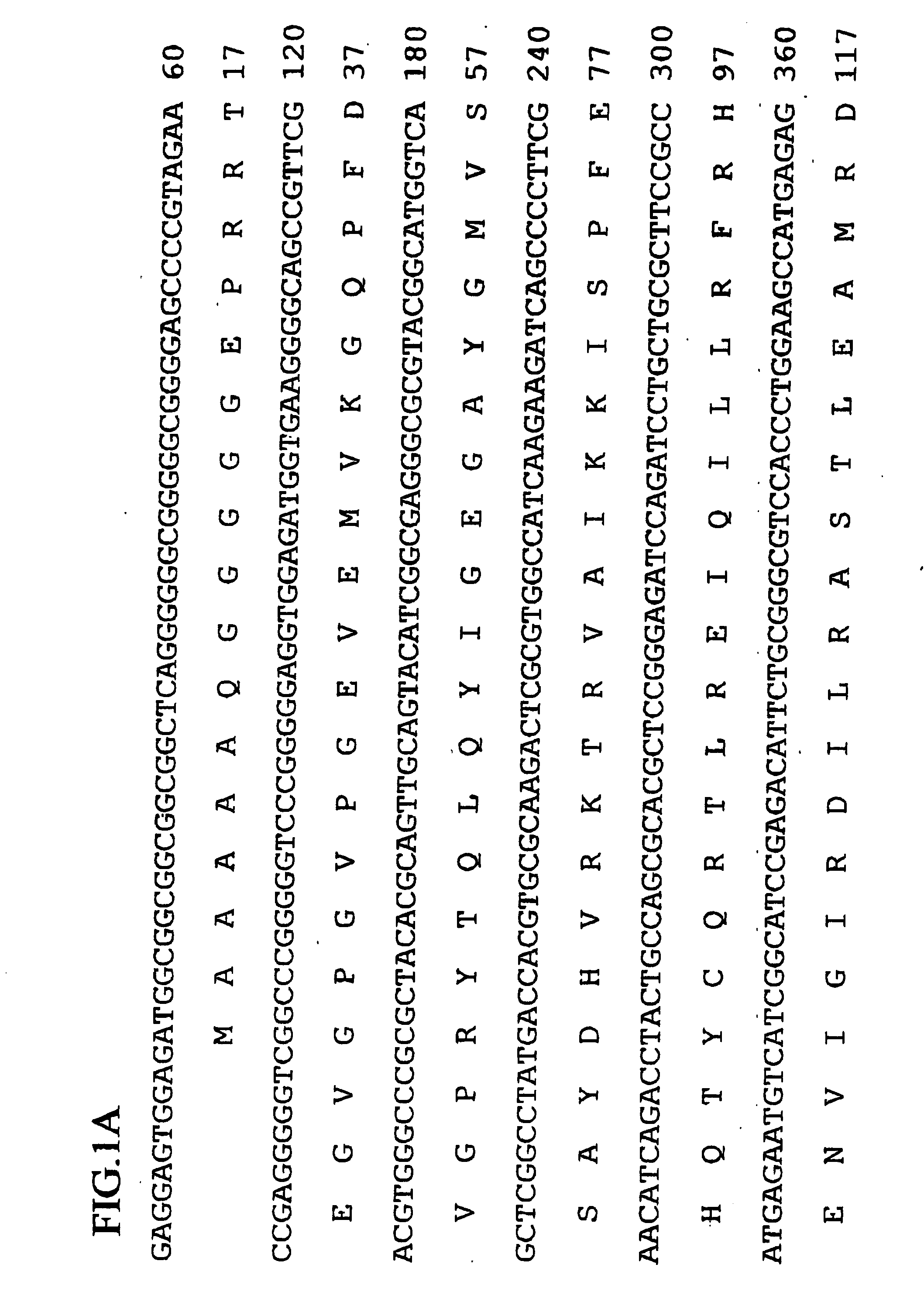 Human SMAPK3-related gene variants associated with cancers