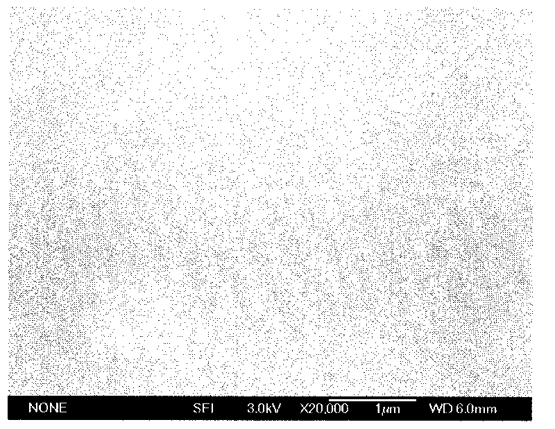 Method for preparing ultra-oleophobic surface underwater