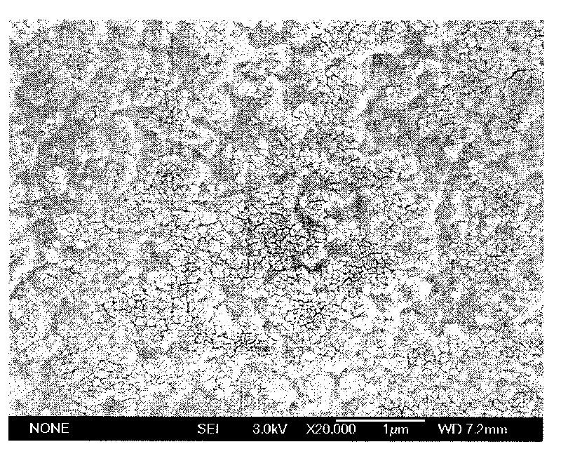 Method for preparing ultra-oleophobic surface underwater