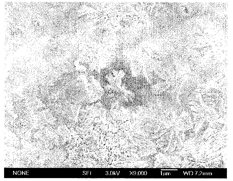 Method for preparing ultra-oleophobic surface underwater