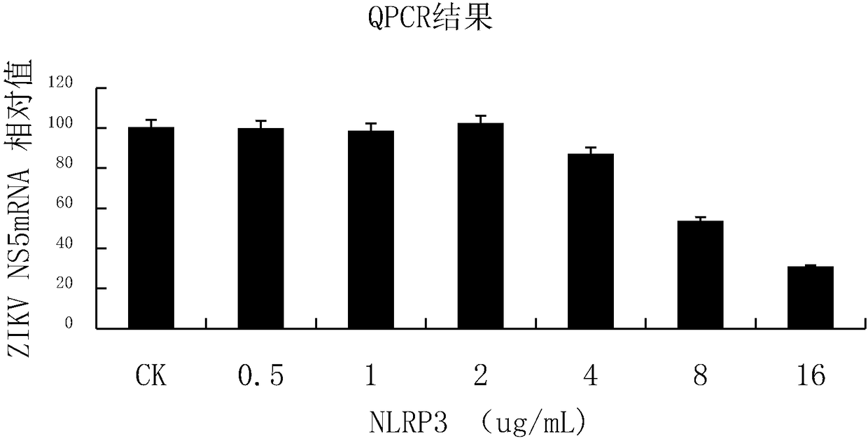 Application of nucleotide binding and oligomerization domain-like receptor protein in treatment of Zika virus infection drugs