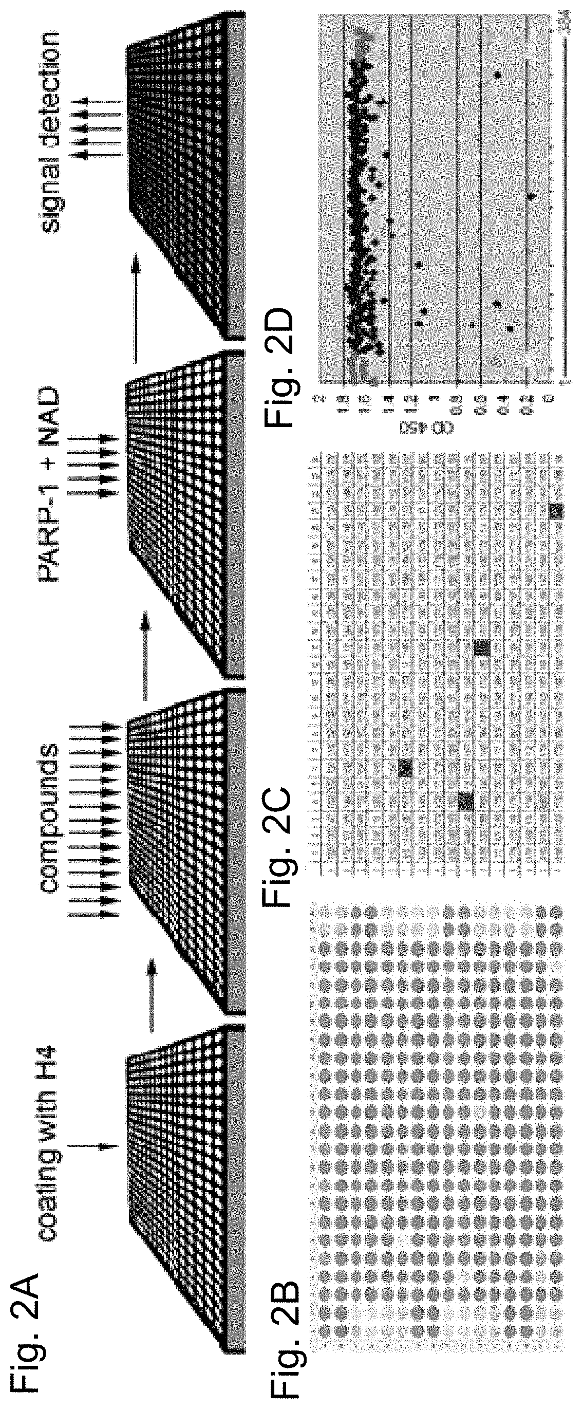 Poly(ADP-ribose) polymerase 1 inhibitors structurally unrelated to NAD