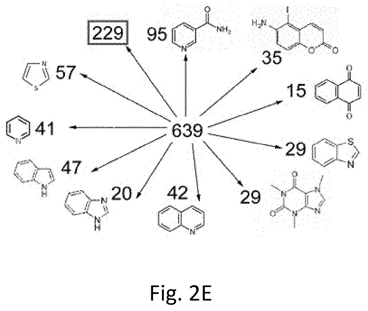 Poly(ADP-ribose) polymerase 1 inhibitors structurally unrelated to NAD