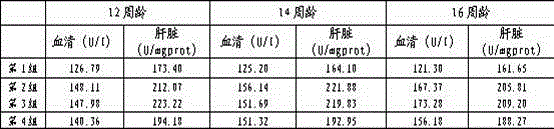 Preparation method of marine biological protein peptide copper chelate