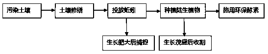 A kind of ecological restoration method of heavy metal polluted soil