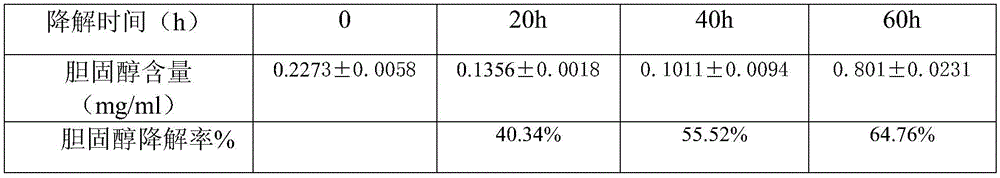 Dry white wine and production method thereof