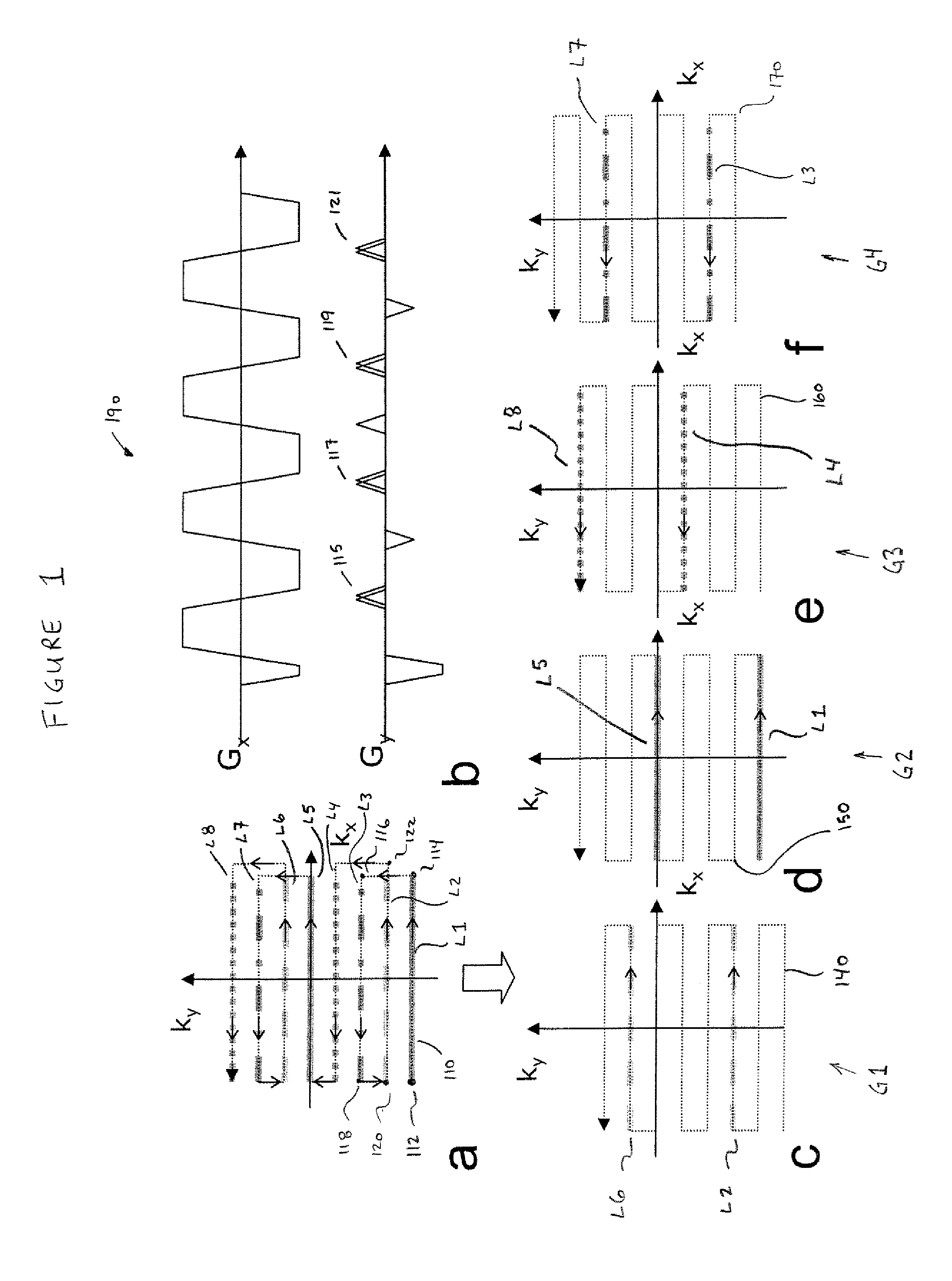 Phase labeling using sensitivity encoding: data acquisition and image reconstruction for geometric distortion correction in epi