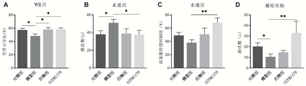 Bifidobacterium breve capable of relieving Alzheimer's disease and increasing fecal acetic acid content and application thereof