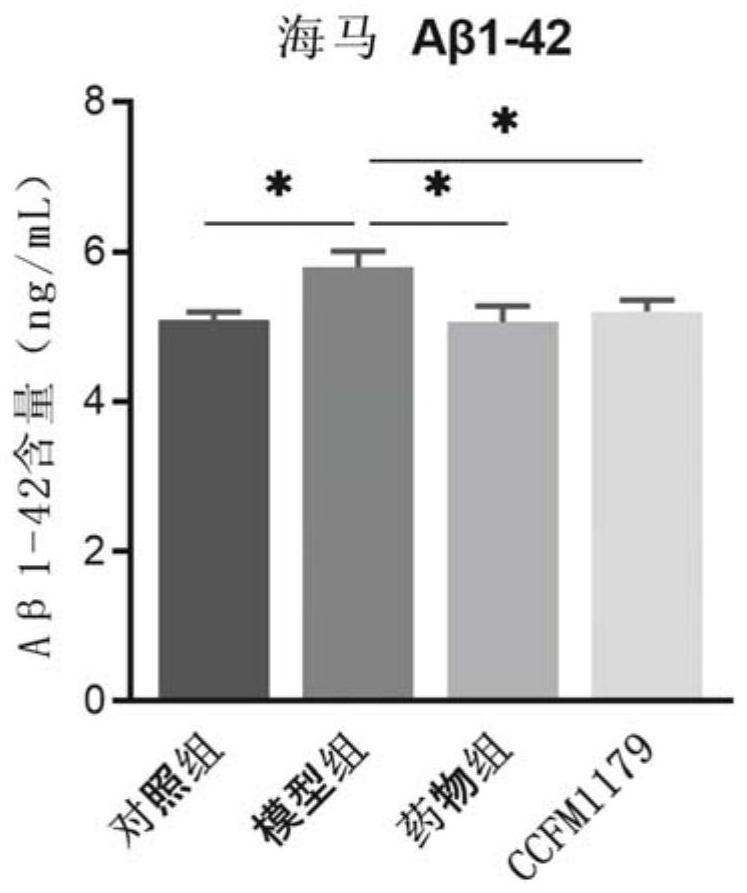 Bifidobacterium breve capable of relieving Alzheimer's disease and increasing fecal acetic acid content and application thereof