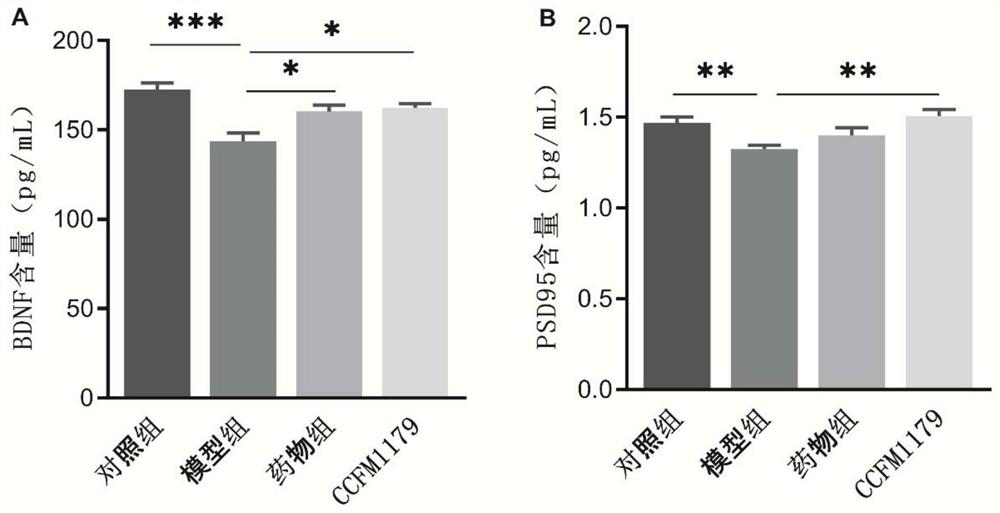 Bifidobacterium breve capable of relieving Alzheimer's disease and increasing fecal acetic acid content and application thereof