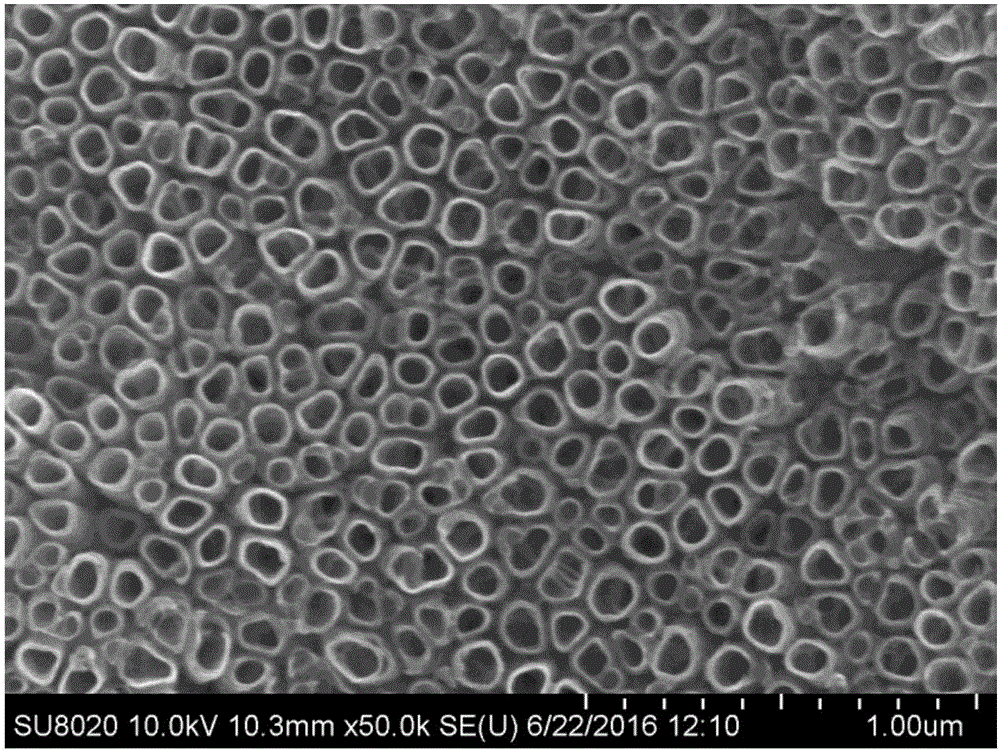 Method for solidly supporting molybdenum disulfide through porous titanium oxide film