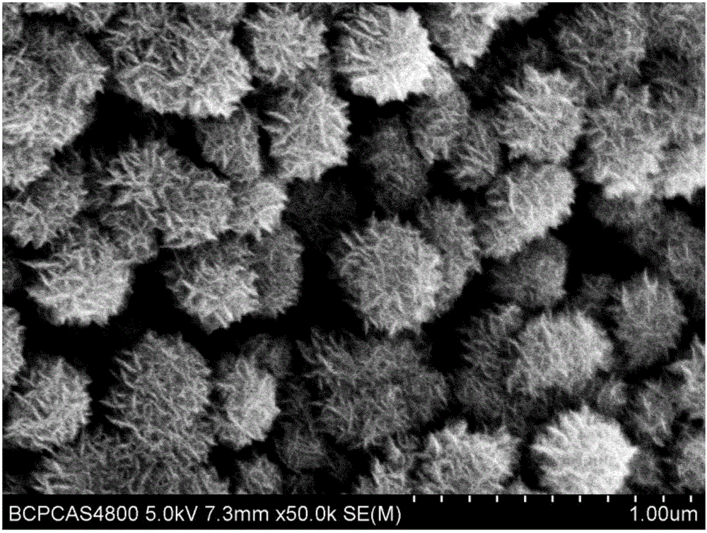 Method for solidly supporting molybdenum disulfide through porous titanium oxide film