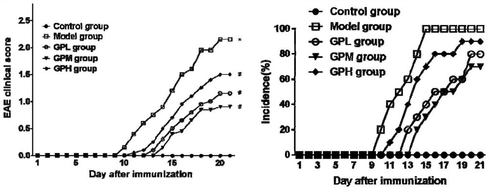 Application of Geniposide in the Preparation of Drugs for Treating Multiple Sclerosis