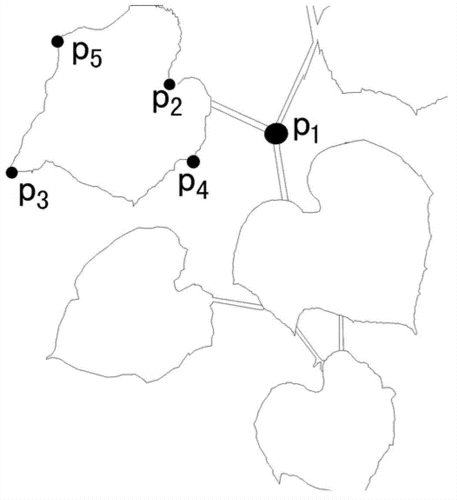 Establishing method for three-dimensional model of vine cane plant