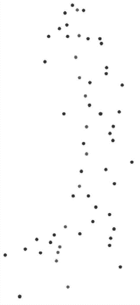 Establishing method for three-dimensional model of vine cane plant