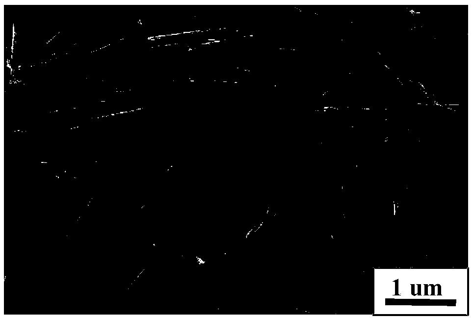 One-dimensional porous nanocomposite and preparation method thereof and application in water electrolysis