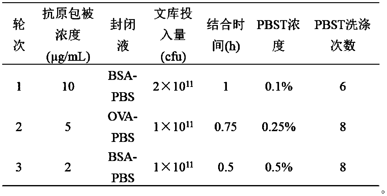 Nano antibody of Zika virus, and preparation method and application thereof