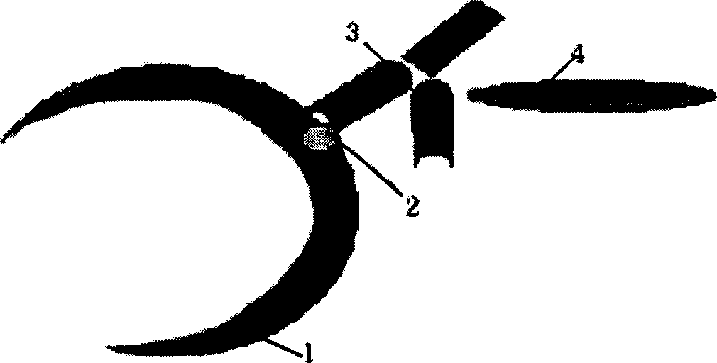 Monoclonal antibody of virus receptor of anti leukoplakia disease and preparation method