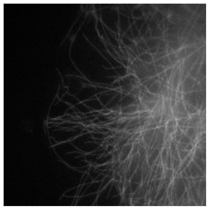 High-density three-dimensional single-molecule positioning super-resolution microscopic imaging system and method