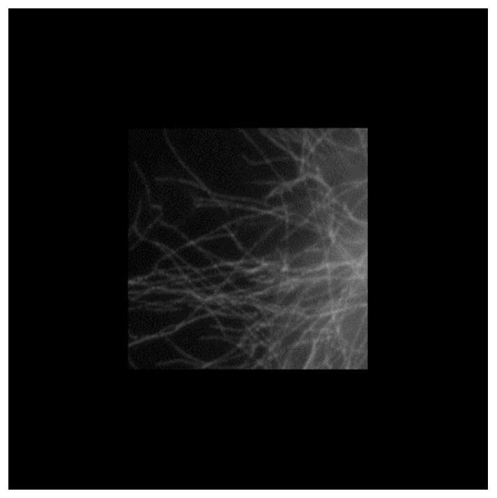 High-density three-dimensional single-molecule positioning super-resolution microscopic imaging system and method